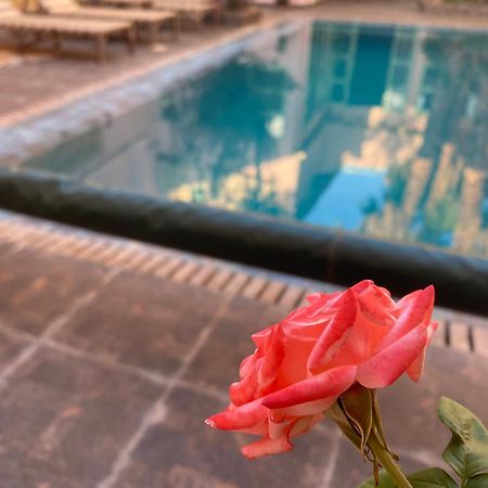 Riad Tania Mozaik Taroudant Exterior foto