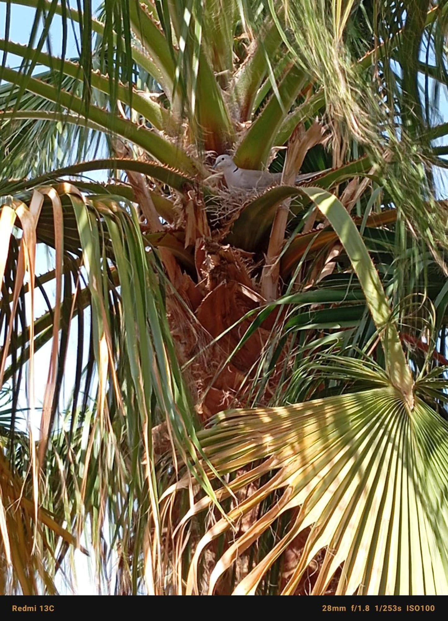 Riad Tania Mozaik Taroudant Exterior foto