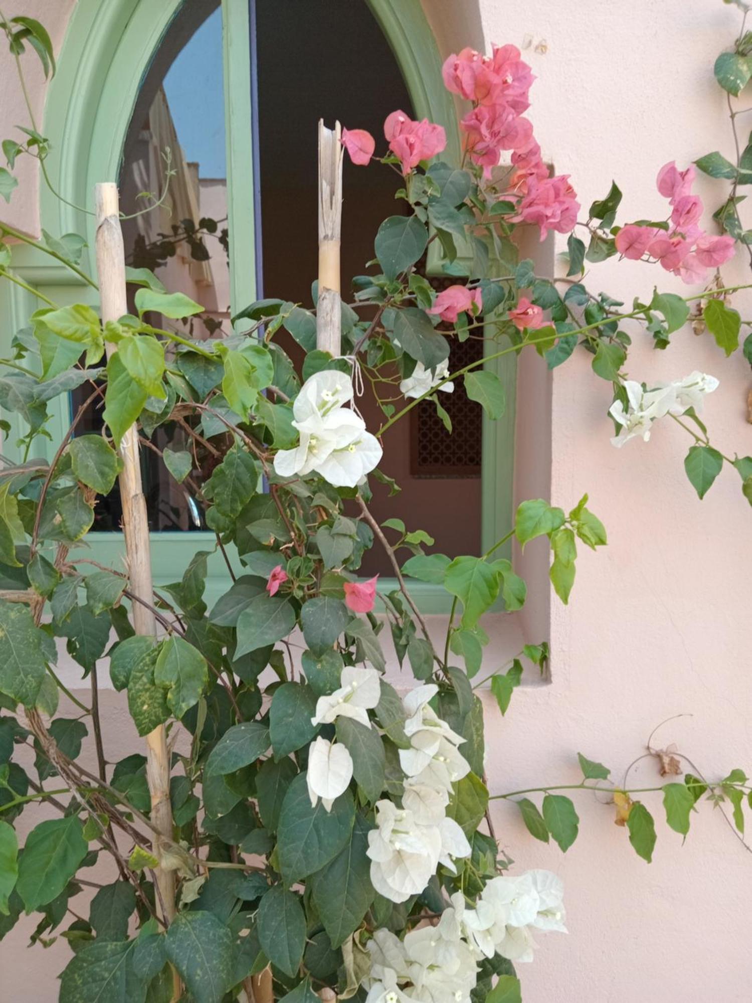 Riad Tania Mozaik Taroudant Exterior foto