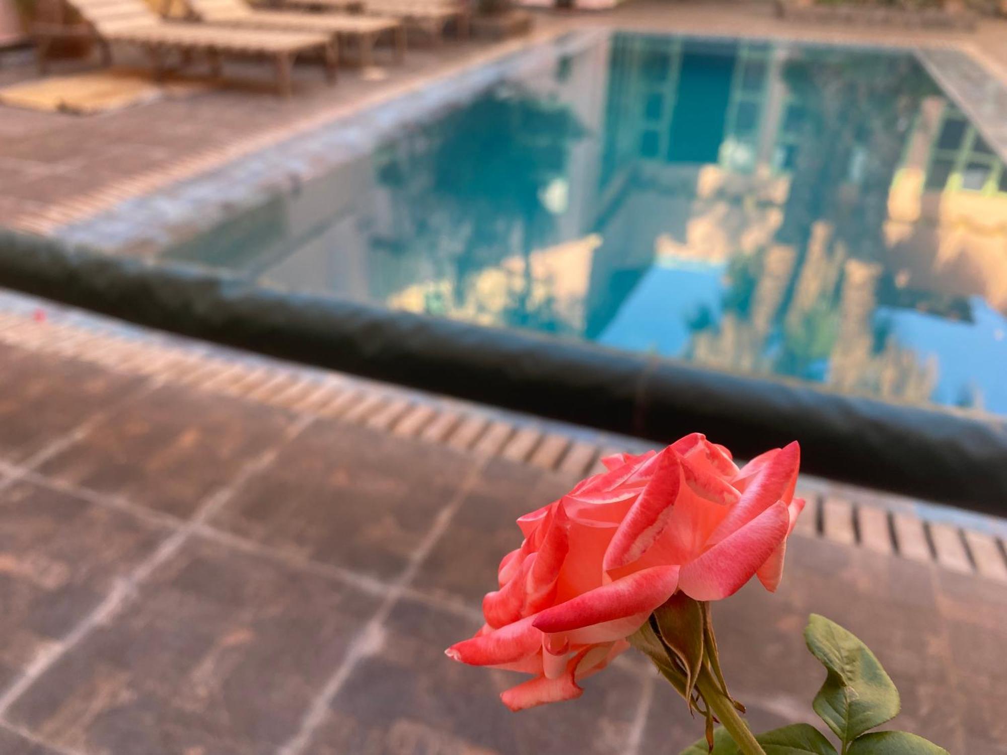 Riad Tania Mozaik Taroudant Exterior foto